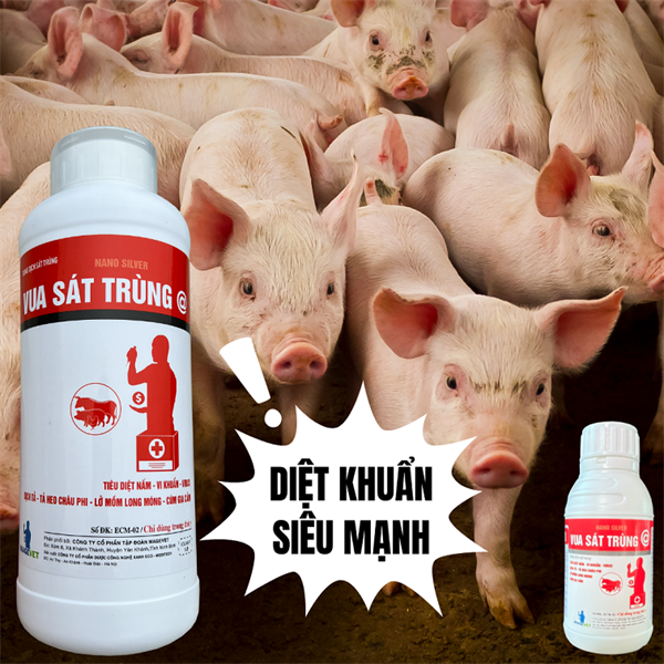 VUA SÁT TRÙNG @ 1 LÍT