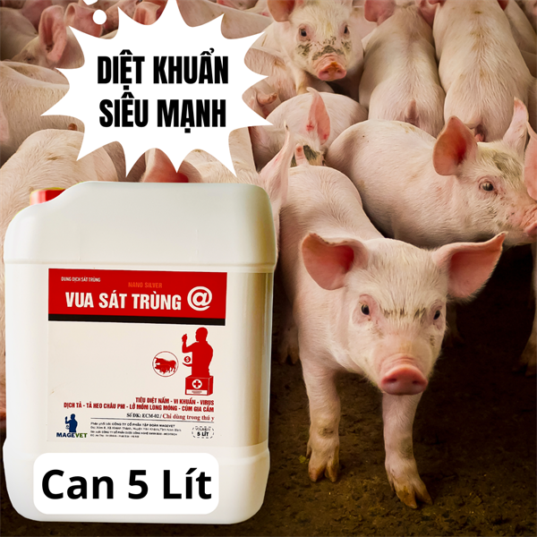 VUA SÁT TRÙNG @ 5 LÍT