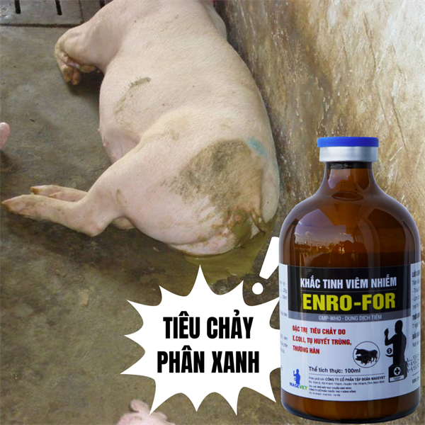 ENRO - FOR 100ml (KHẮC TINH VIÊM NHIỄM
