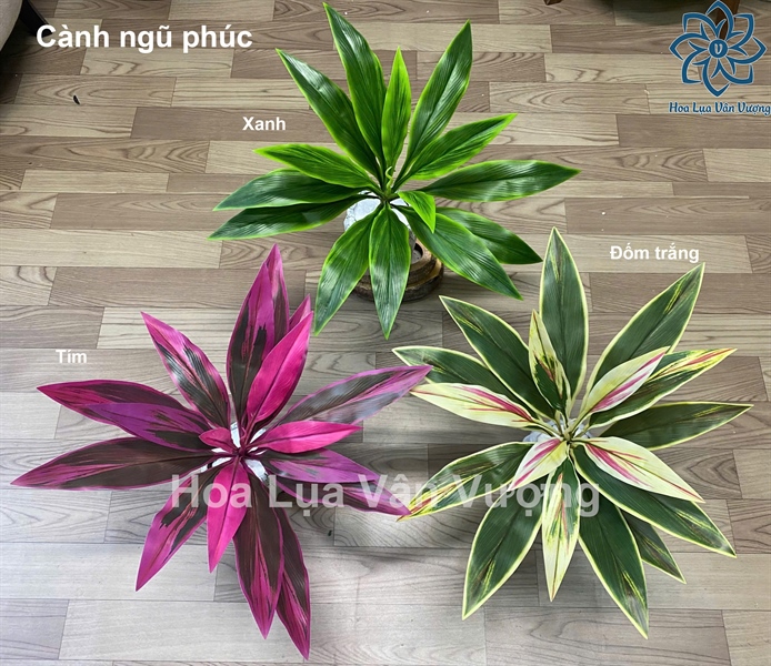 Cành ngũ phúc - Lá cành ngắn - Hoa Lụa Vân Vượng