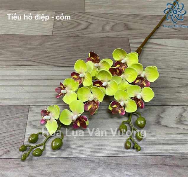 Tiểu hồ điệp - Hồ điệp, lan - Hoa Lụa Vân Vượng