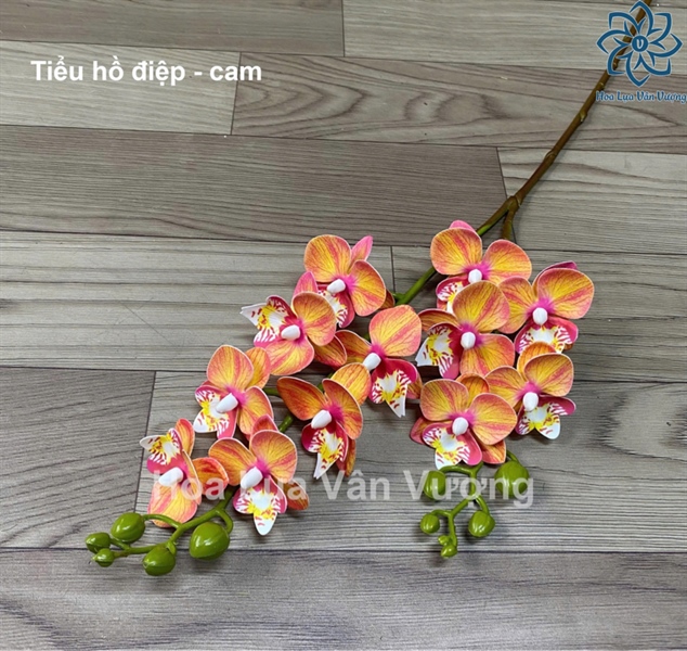 Tiểu hồ điệp - cam - Hồ điệp, lan - Hoa Lụa Vân Vượng