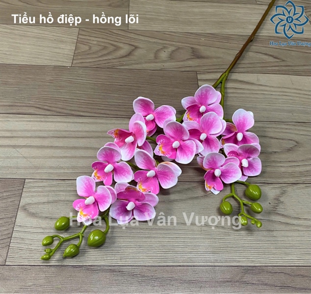 Tiểu hồ điệp - hồng lõi - Hồ điệp, lan - Hoa Lụa Vân Vượng
