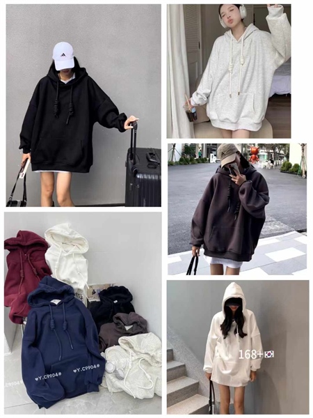 HOODIE 310 / 25