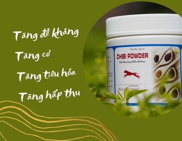 Chibi Powder 400gr - Bột khoáng tăng cân, tăng cơ, tăng hấp thu