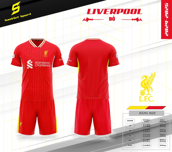 QA bóng đá (SV) - Liverpool 24