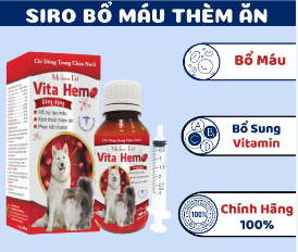Siro Bổ Sung Máu Vitahemo 100ml Cho Chó Mèo