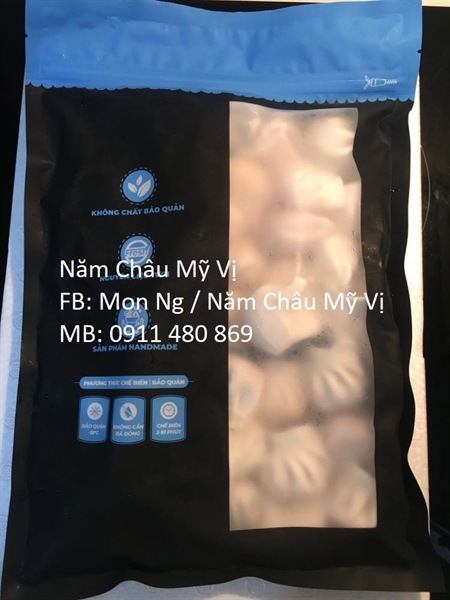 Há cảo tôm GNs túi 880g (22x40g)