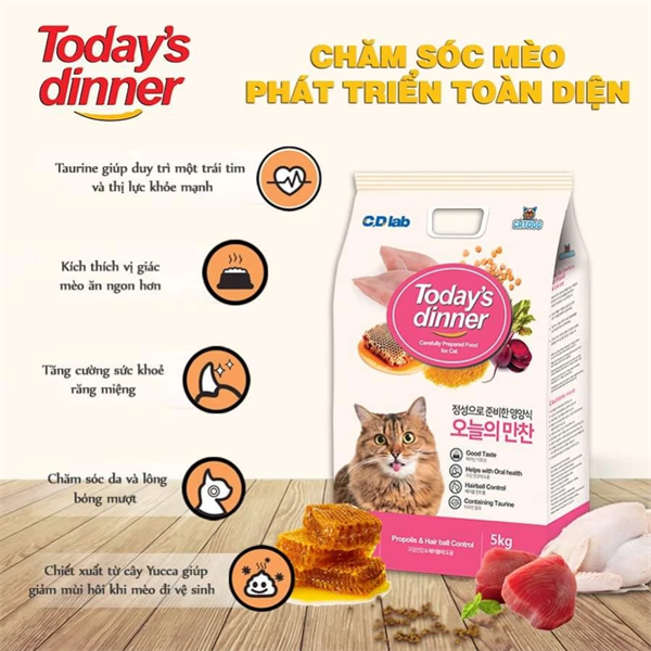 Hạt cho mèo Today dinner's mèo mọi lứa tuổi
