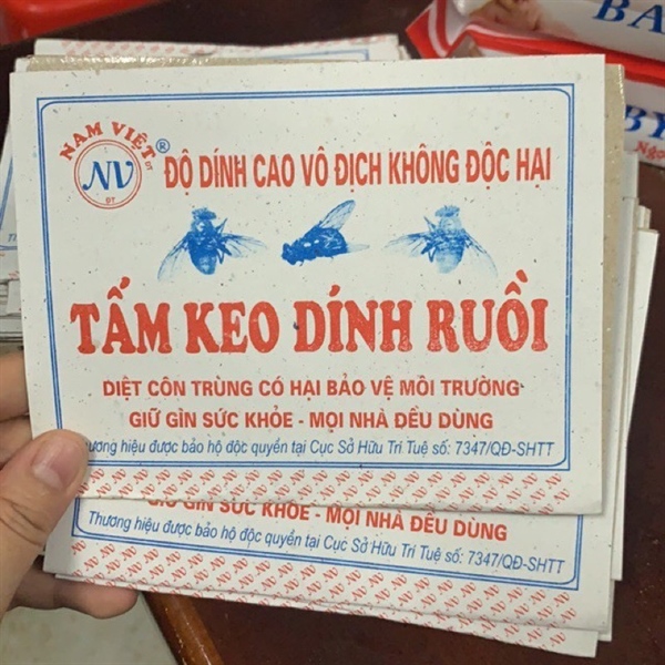 Set 25 tấm keo dính ruồi