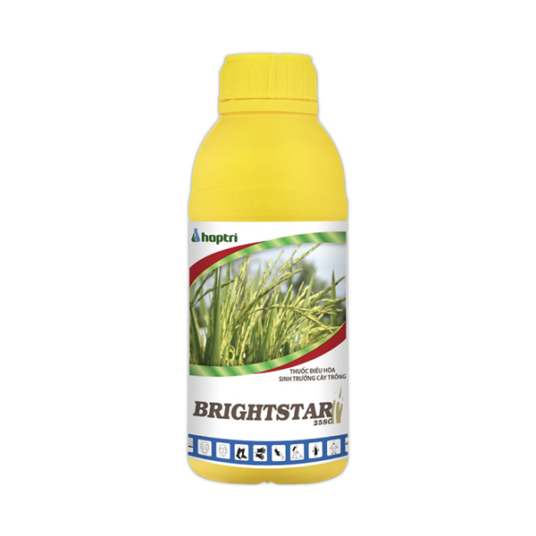 BRIGHSTAR 250SC - Thuốc điều hoà sinh trưởng cây trồng của Hợp Trí.
