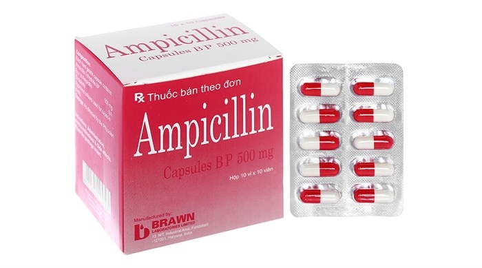 Ampicillin 500 brawn (h/100v)