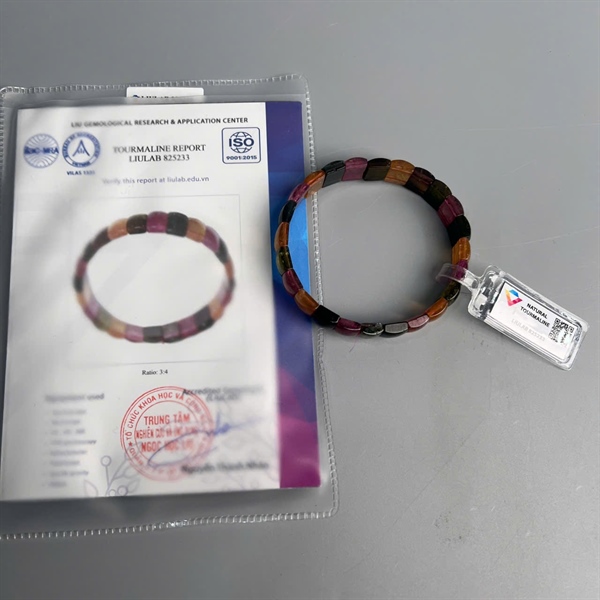 Vòng bản Tourmaliner 825233 KG+