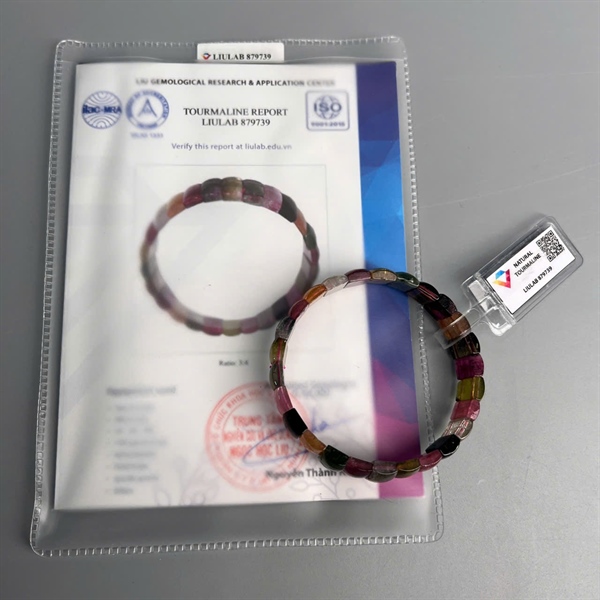 Vòng bản Tourmaliner 879739 KG+