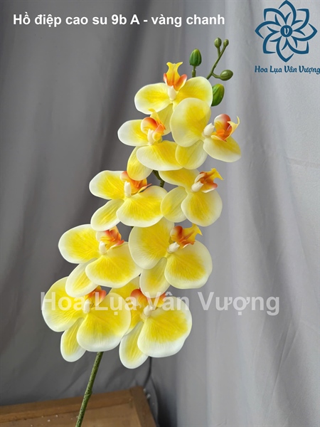 Hồ điệp cao su 9b A - vàng chanh - Hồ điệp, lan - Hoa Lụa Vân Vượng