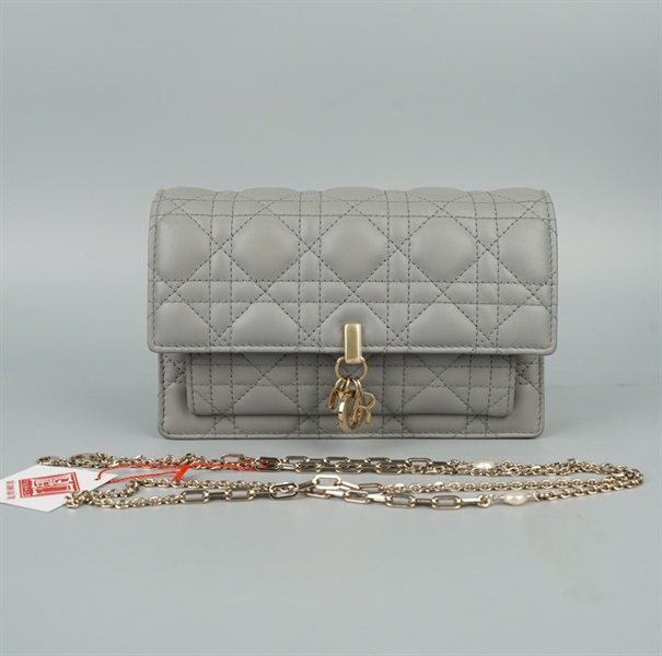 Túi Dior xám (12-MA-0262) sz19 (LN) KG+