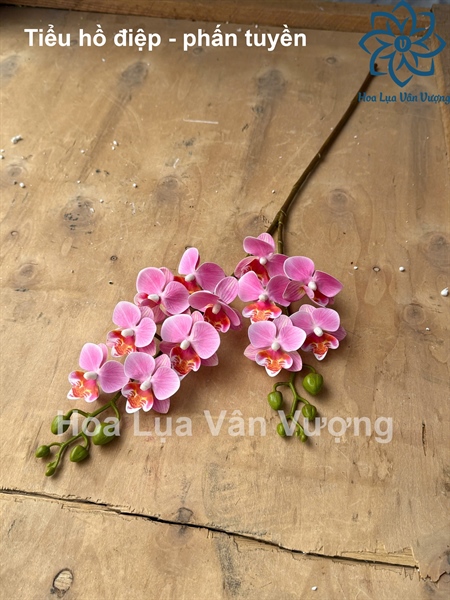 Tiểu hồ điệp - phấn tuyền - Hồ điệp, lan - Hoa Lụa Vân Vượng