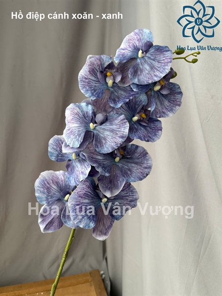 Hồ điệp cánh xoăn - Hồ điệp, lan - Hoa Lụa Vân Vượng