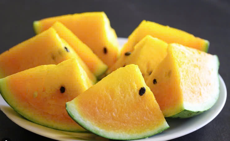 Dưa hấu vàng Hoàng Long - Watermelon