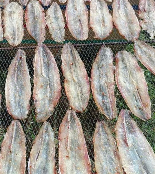 Cá mối khô tẩm