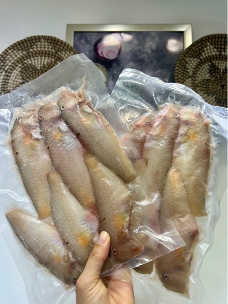 CÁ MÓ làm sạch, rửa sạch