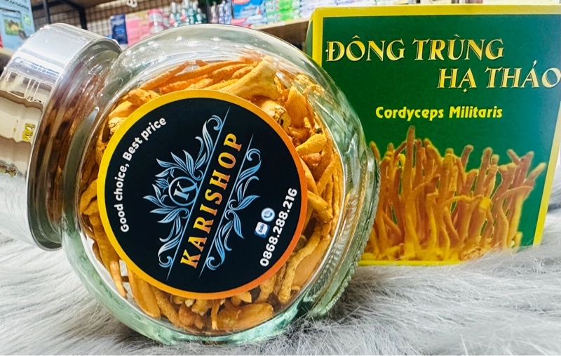 Nấm Đông trùng hạ thảo khô 20g-Sấy thăng hoa