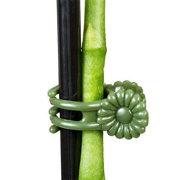 Set 11 dụng cụ kẹp hoa Lan - Cây kiểng