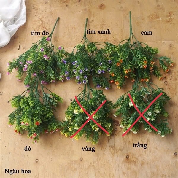 Ngâu hoa - Hoa cành ngắn - Hoa Lụa Vân Vượng