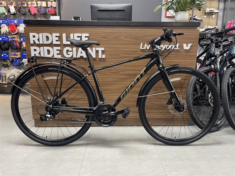 GIANT 2024 ESCAPE 2 CITY D
