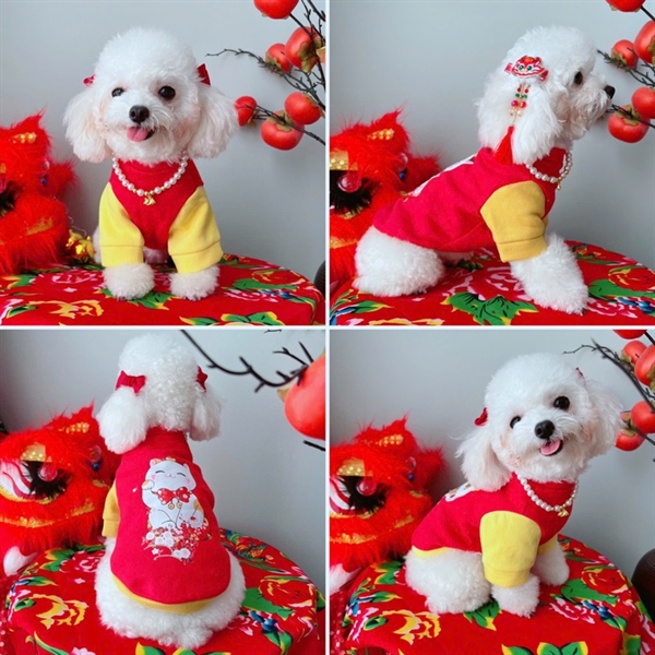 LI - TẾT Áo nỉ đỏ phối tay vàng in mèo thần tài đeo nơ