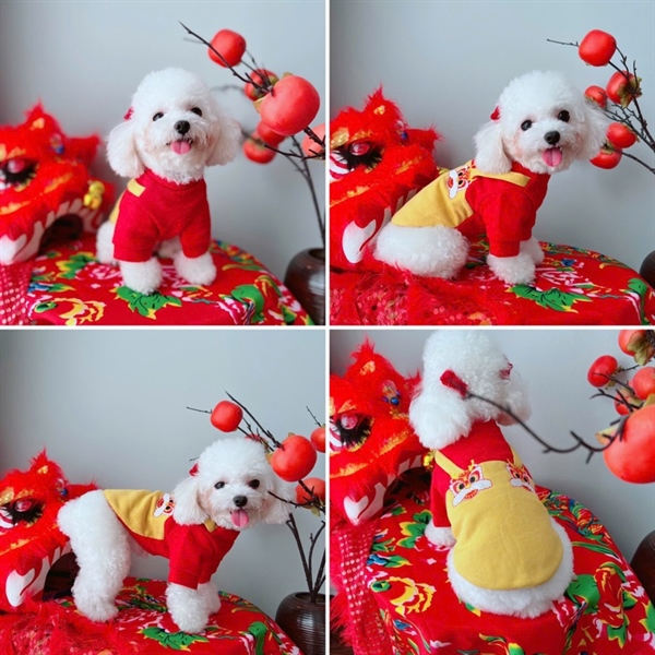 LI - TẾT Áo nỉ phối màu giả yếm thêu đầu lân