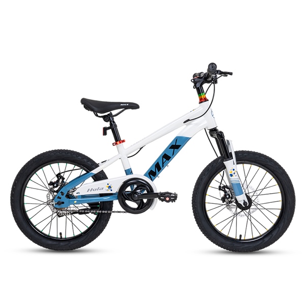 Xe Đạp Trẻ Em Youth MAX BIKE Hola 20 – Phanh Đĩa, Bánh 20 Inches