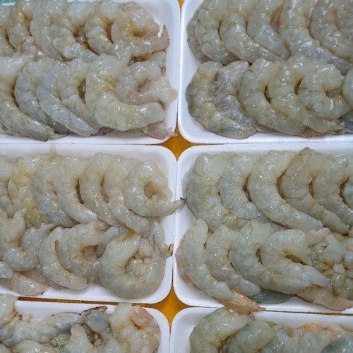 Tôm nõn size nhỏ