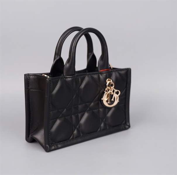 Túi Dior Tote đen (62-MA-0224) sz21 (HC) +