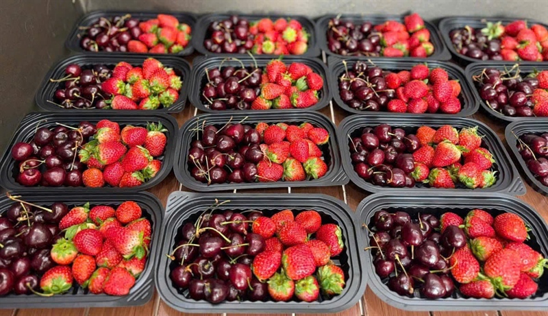 Hộp trái cây mix VIP - Luxury mix Fruit box