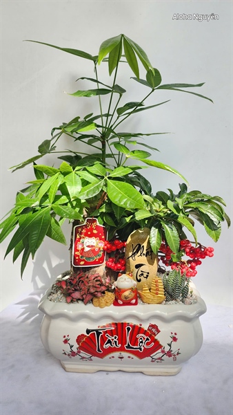 CHẬU CHỮ NHẬT LƯỢN SÓNG S2 MIX KIM NGÂN LƯỢNG