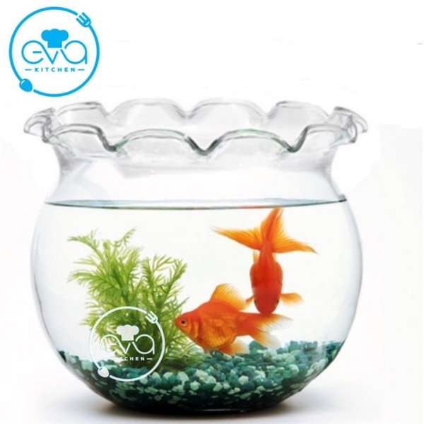 Hồ Cá Bể Cá Thuỷ Tinh Miệng Bèo B2 24 x 21 Cm Tặng Kèm Sỏi Và Rong Trang Trí