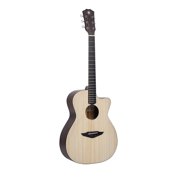 Đàn Guitar Acoustic Việt Nam TUY VGA450PA