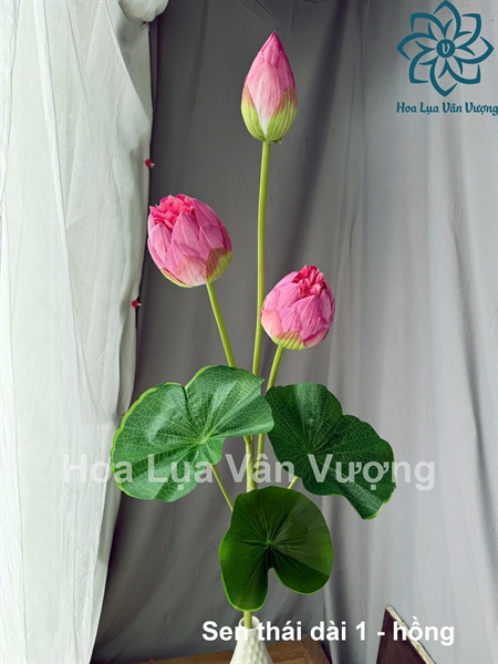Sen thái dài 1 - Hồng - Sen - Hoa Lụa Vân Vượng