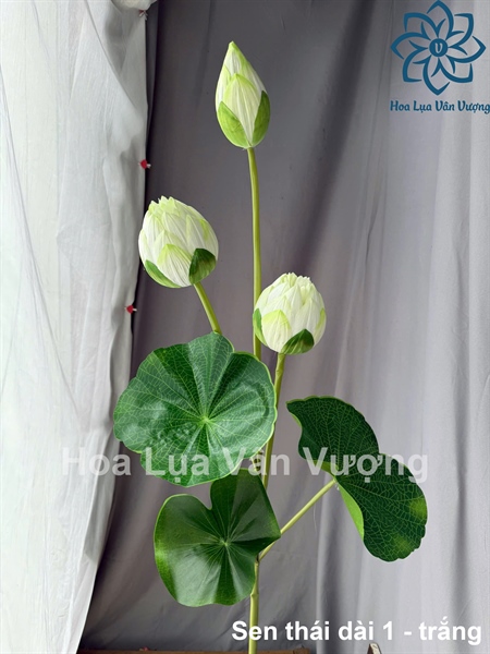 Sen thái dài 1 - Trắng - Sen - Hoa Lụa Vân Vượng