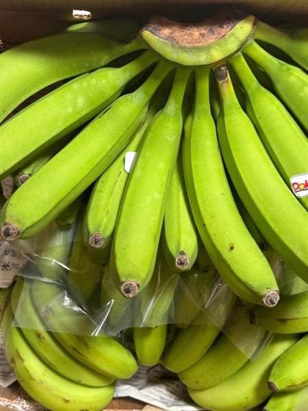 CHUỐI TÂY XANH/青バナナ