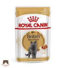 Pate Royal Canin Bristish
