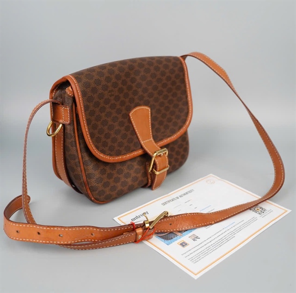 Túi Celine đeo chéo màu nâu M93 sz22 +