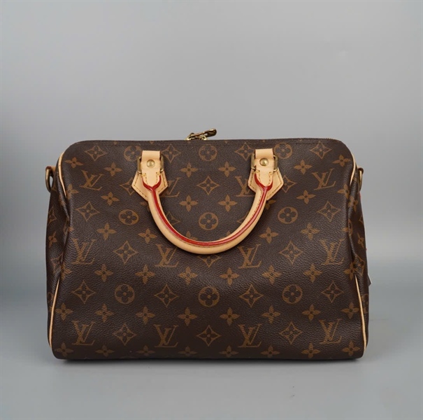 Túi LV speedy hoa nâu viền da vàng sz30 (A-T) KG+