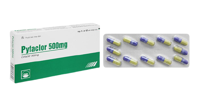 Pyfaclor cefaclor 500mg pymepharco (h/12v nang)