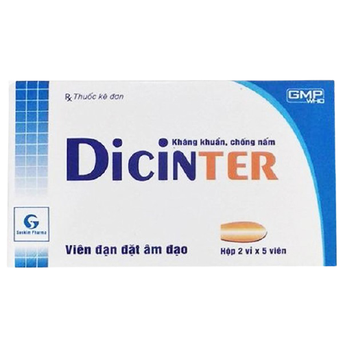 Dicinter sao kim (h/10v đặt)
