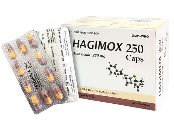 Hagimox amoxicillin 250mg dhg (h/100 viên nang) (xám-vàng ngà)
