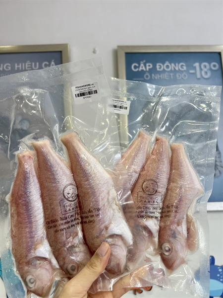 CÁ ĐỔNG vừa làm sạch, rửa sạch