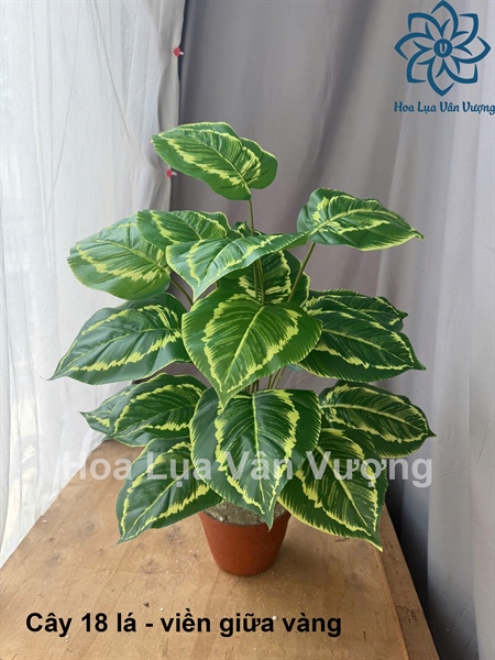 Cây 18 lá - viền giữa vàng - Cây - Hoa Lụa Vân Vượng