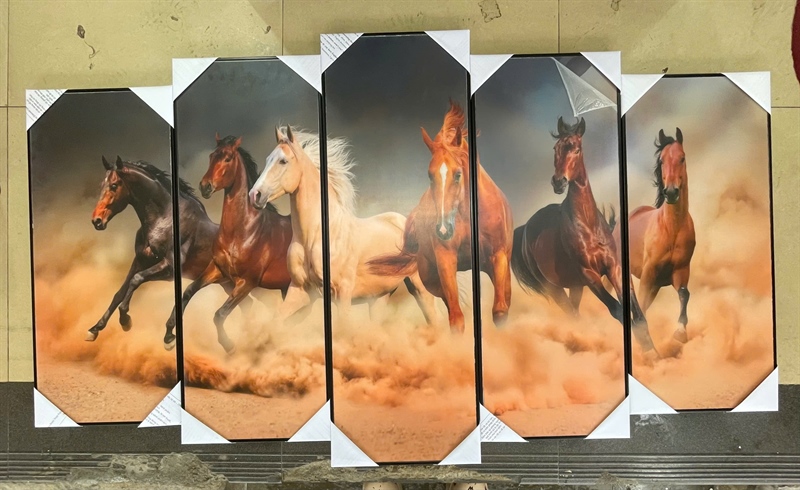 BỘ 5 MÃ ĐÁO THÀNH CÔNG